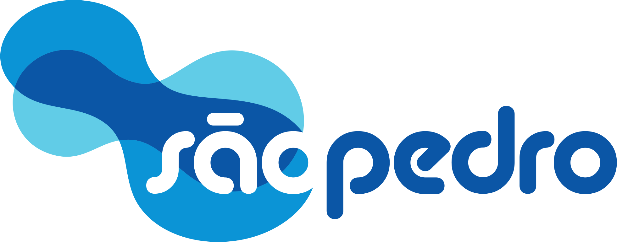 Viação São Pedro